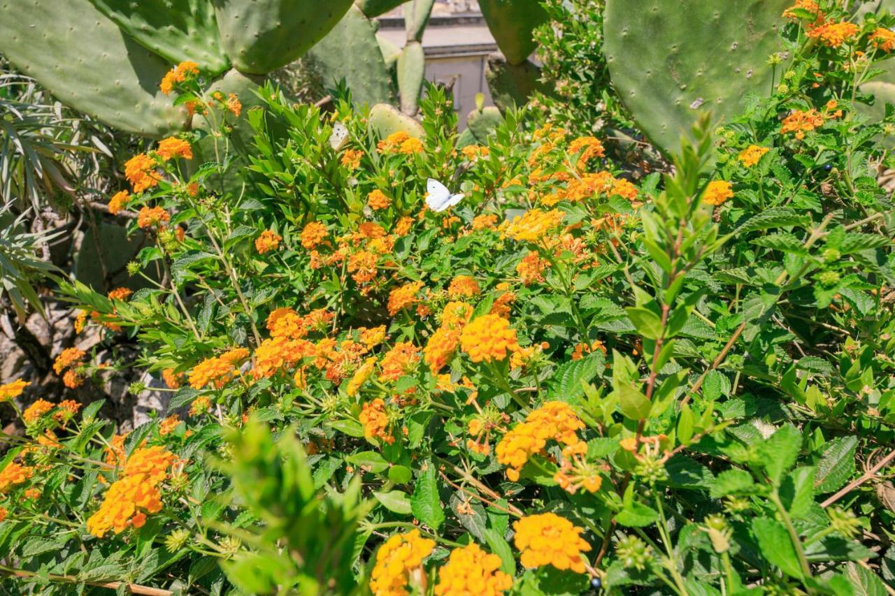 Trigona Garden Suite Noto Exteriör bild